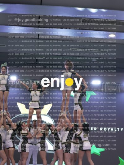Joy Rsm 161