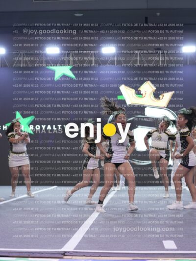 Joy Rsm 196