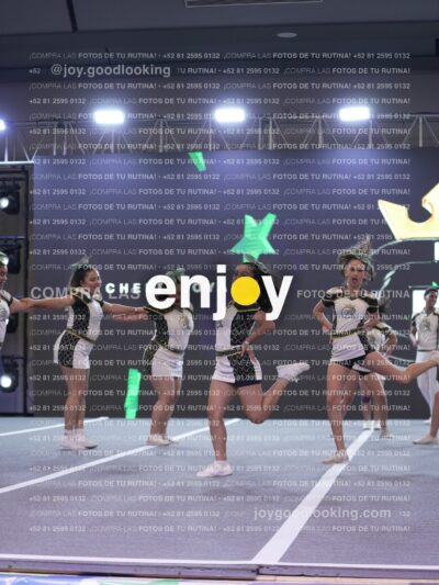 Joy Rsm 198