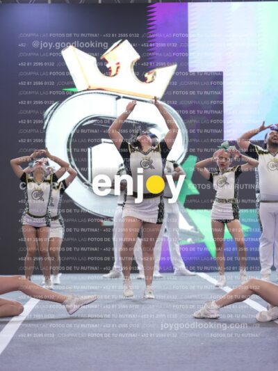 Joy Rsm 201