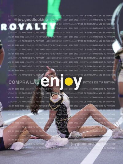 Joy Rsm 204
