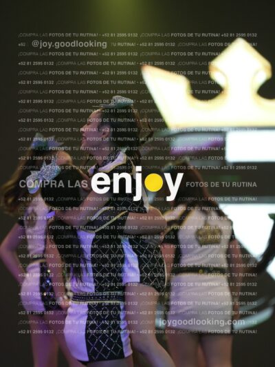 Joy Rsm 213