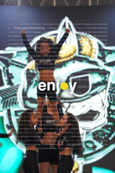 Joy Snq 066