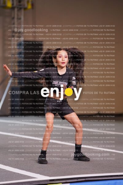 Joy Snq 101