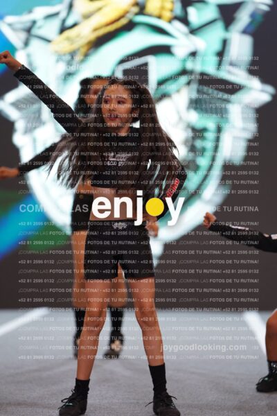 Joy Snq 110