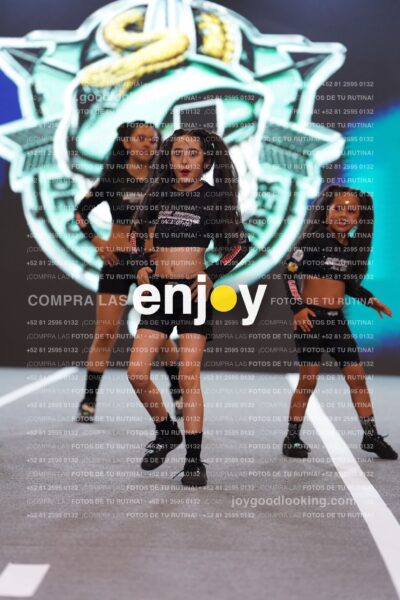 Joy Snq 120