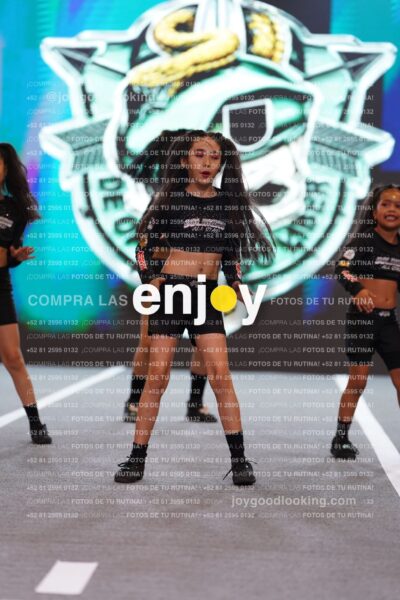 Joy Snq 121