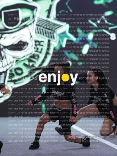 Joy Snq 190