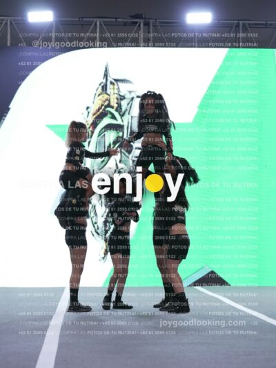 Joy Snq 201