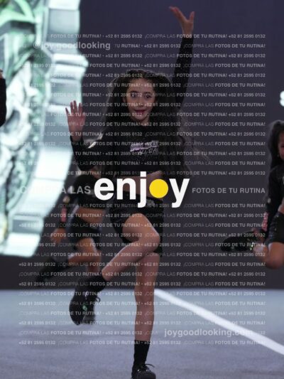 Joy Snq 244