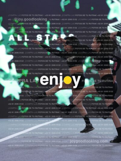 Joy Snq 248
