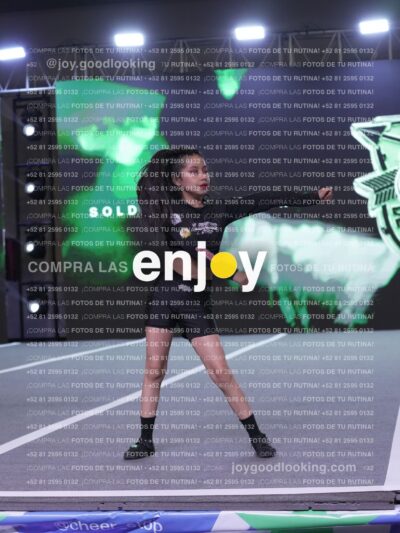 Joy Snq 270