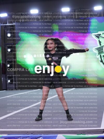 Joy Snq 274