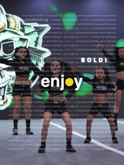 Joy Snq 286