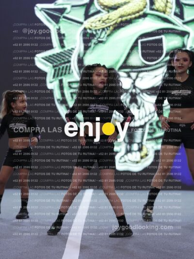 Joy Snq 290
