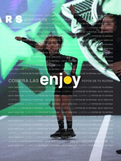 Joy Snq 296