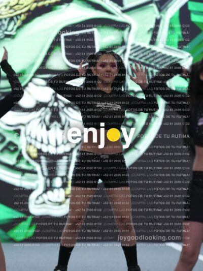 Joy Snq 302