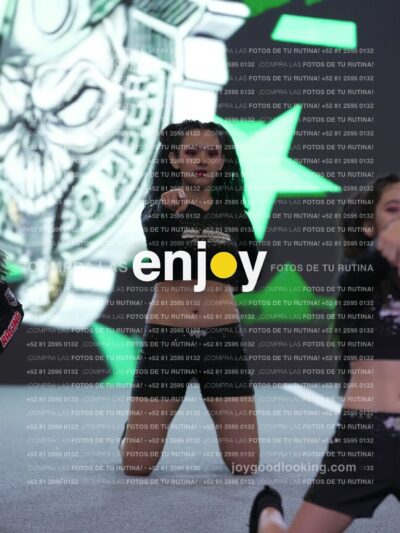 Joy Snq 308