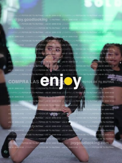 Joy Snq 311