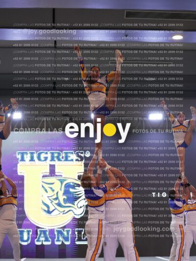 Joy Tcum 156
