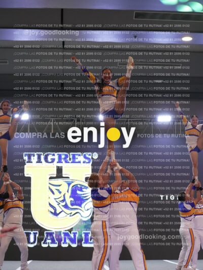 Joy Tcum 163