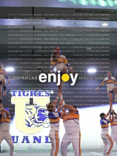 Joy Tcum 168