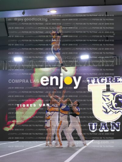 Joy Tcum 224