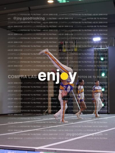 Joy Tcum 329
