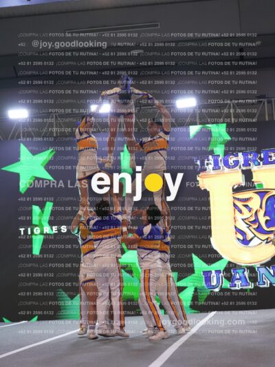 Joy Tcum 391