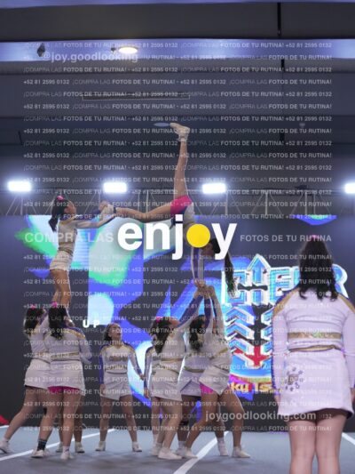 Joy Wsf 178