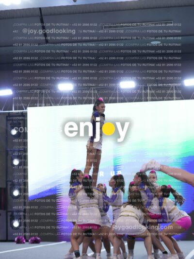 Joy Wsf 183