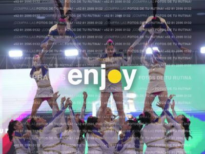 Joy Wsf 199