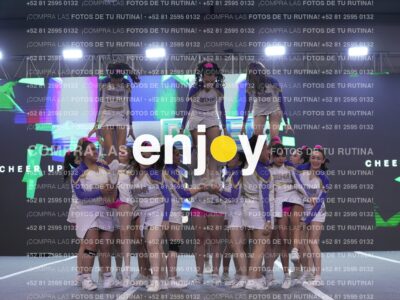 Joy Wsf 208