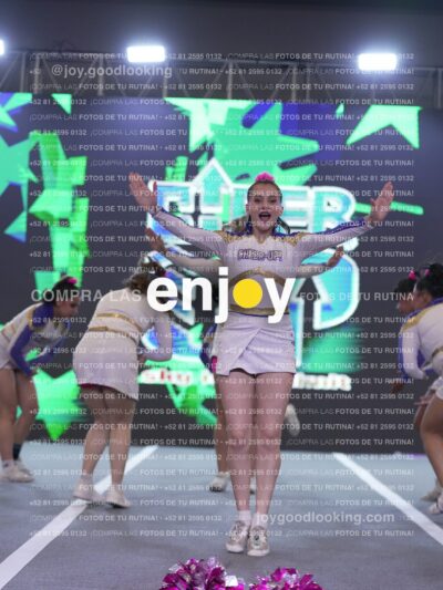 Joy Wsf 210