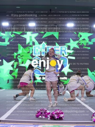 Joy Wsf 215