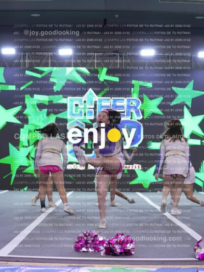 Joy Wsf 217