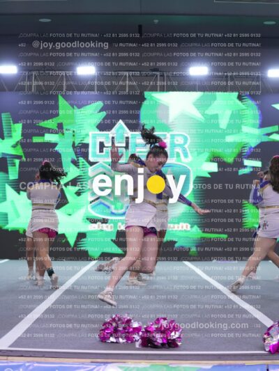 Joy Wsf 220