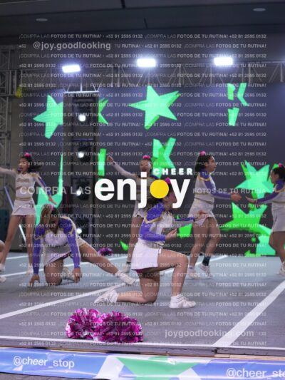 Joy Wsf 222