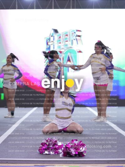 Joy Wsf 228