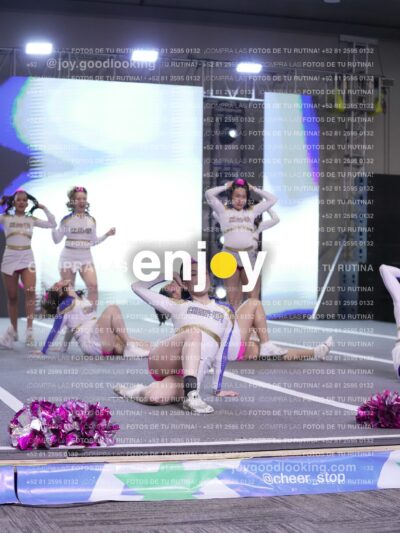 Joy Wsf 234