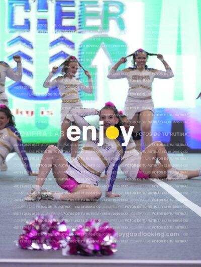 Joy Wsf 236
