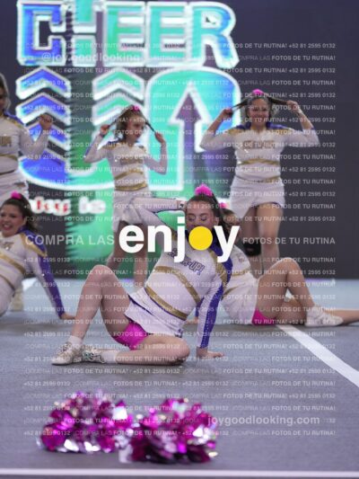 Joy Wsf 237