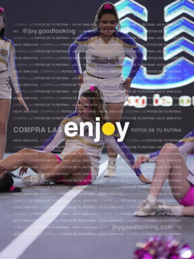 Joy Wsf 238