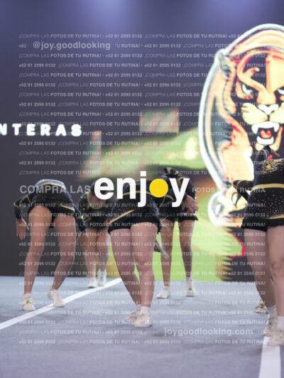 Joy03339