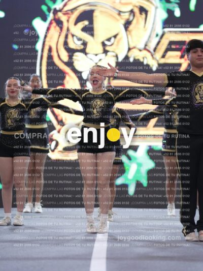Joy03343