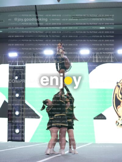 Joy03350