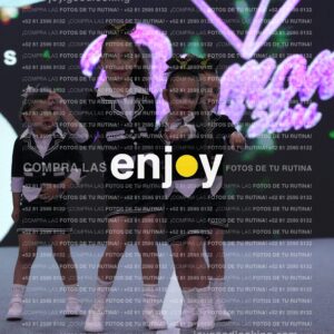 Ldm0355