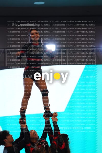 Lin0142