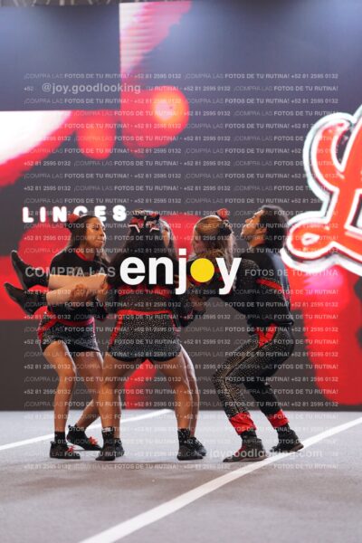 Lin0151