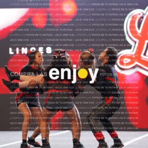 Lin0151